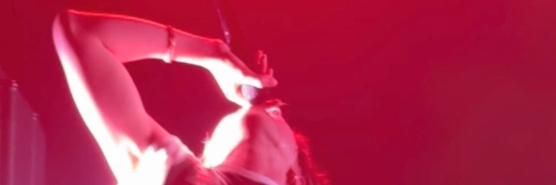 に ゃ に ゃ𓈒⋆.🐬˖⁺ ⑅̥ 🐧˖⁺ ⑅̥🐉 banner