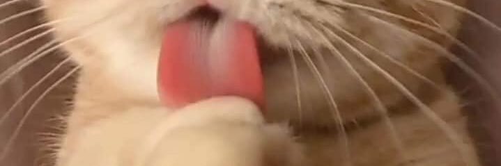 pppreaw_w's profile banner image