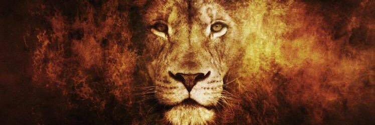 _alexh_5's profile banner image