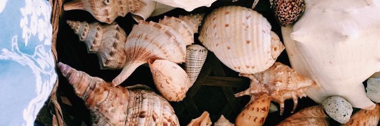 abbyjrandall's profile banner image