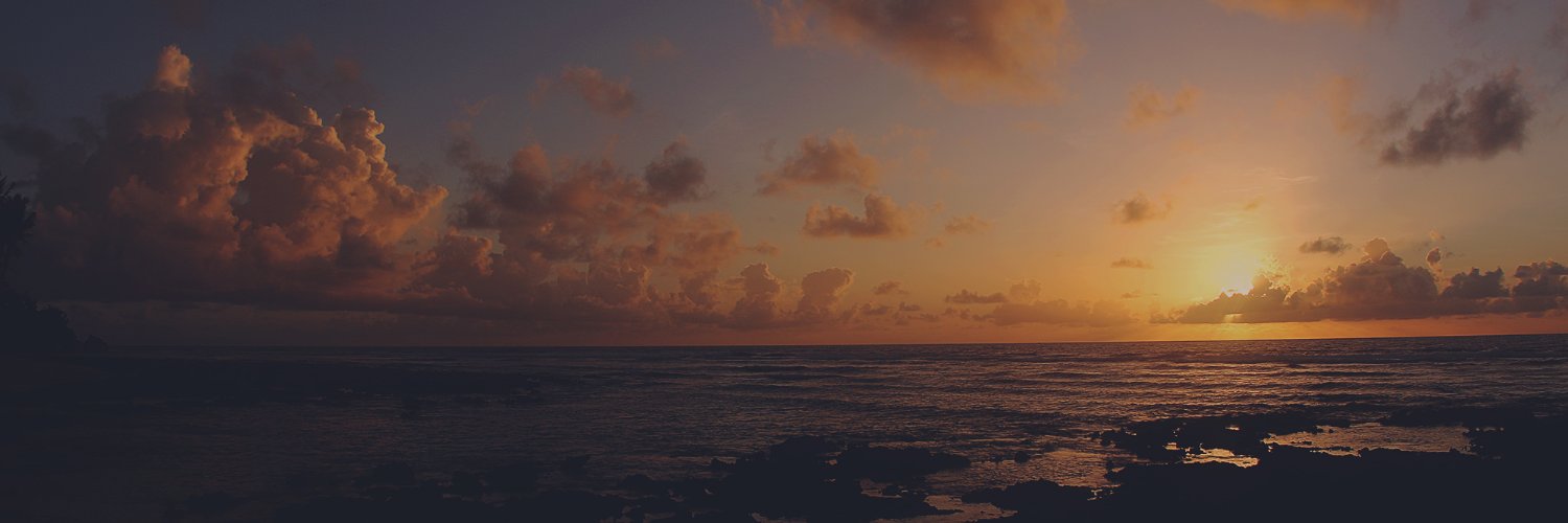 zeegoks's profile banner image