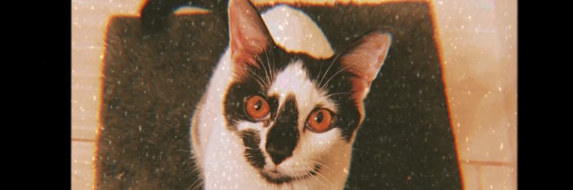 AssShizzle's profile banner image
