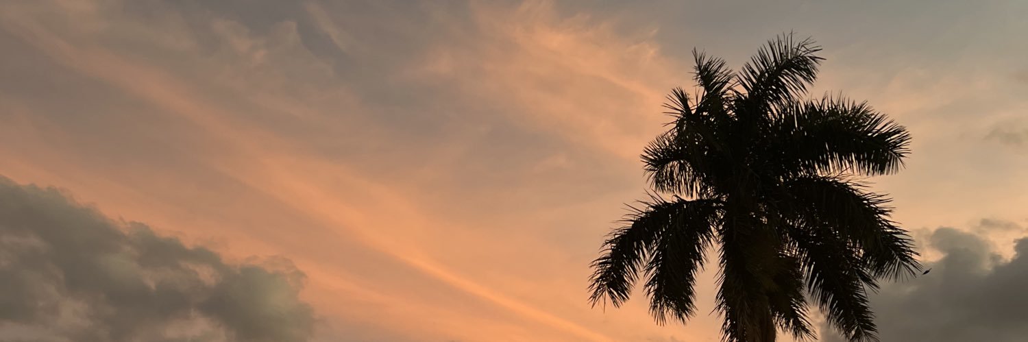 dyyyyyyy__'s profile banner image