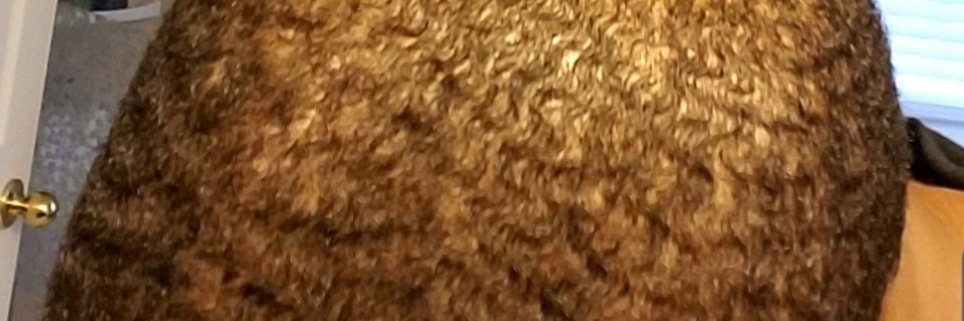 GabRealJoel's profile banner image