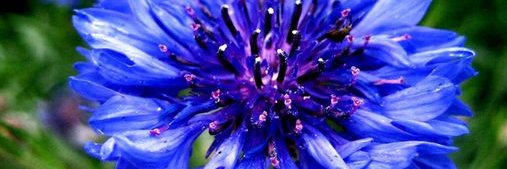 Femme de l'Être 🙏💕 banner