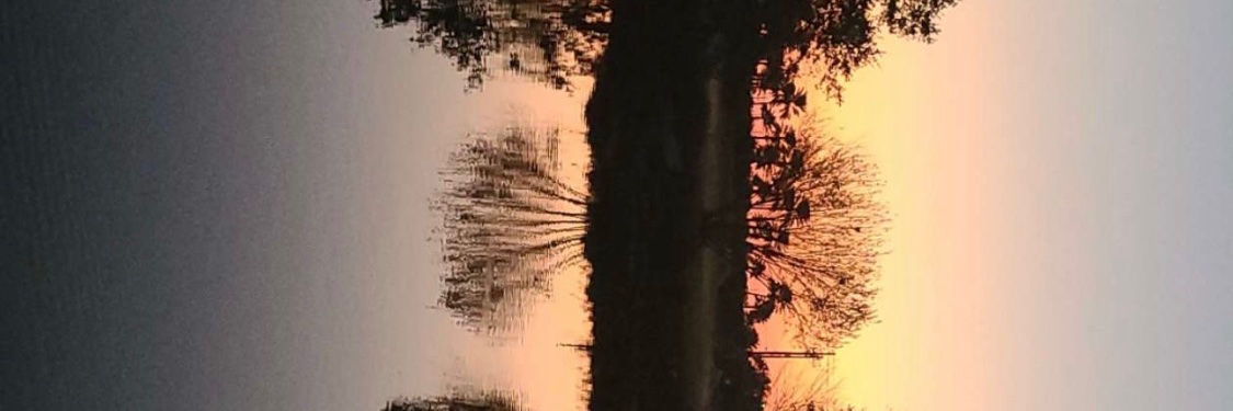 roxyepoxy12's profile banner image