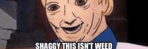 ScoobyDoinks banner