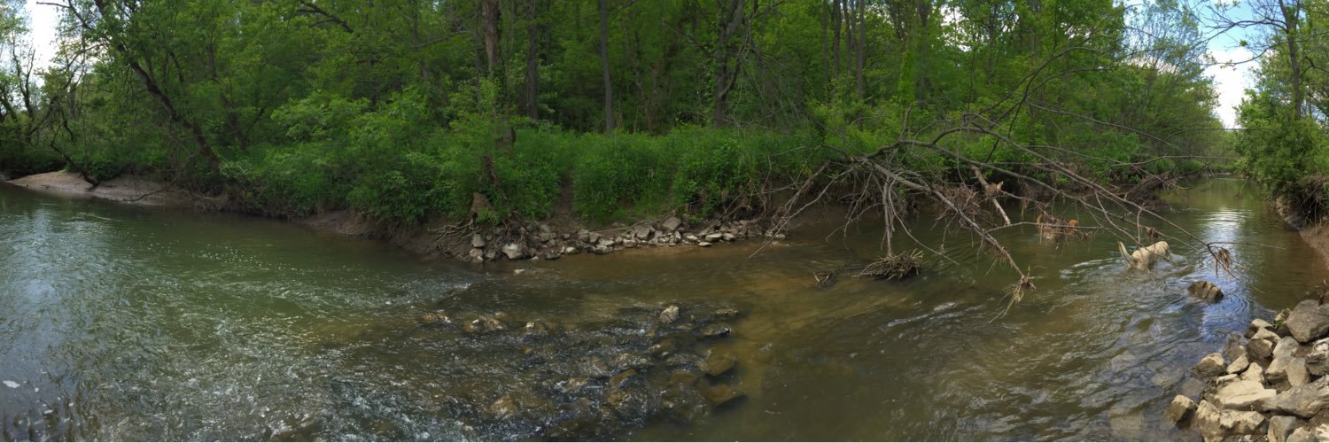 Moosebran's profile banner image