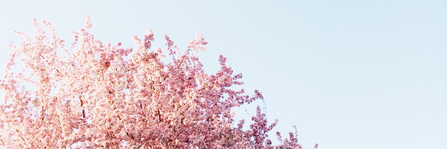 imstephhammer's profile banner image