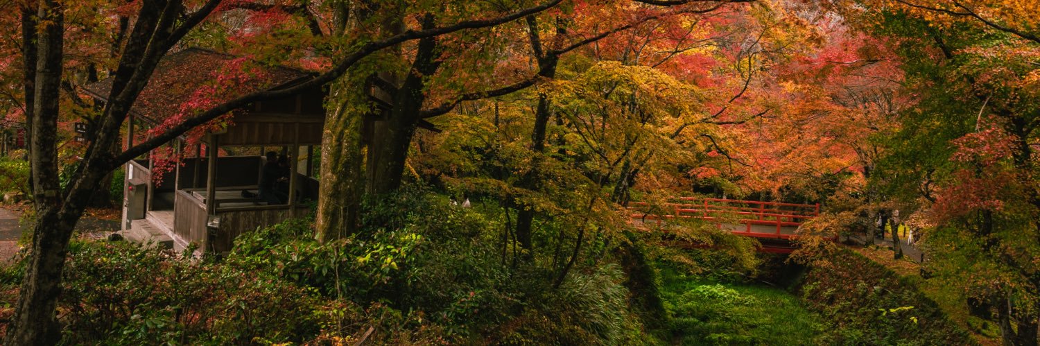 bugan_shuohua's profile banner image