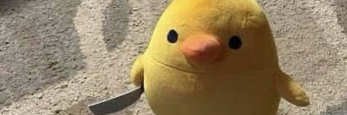 kick.com/ARavingDuck banner