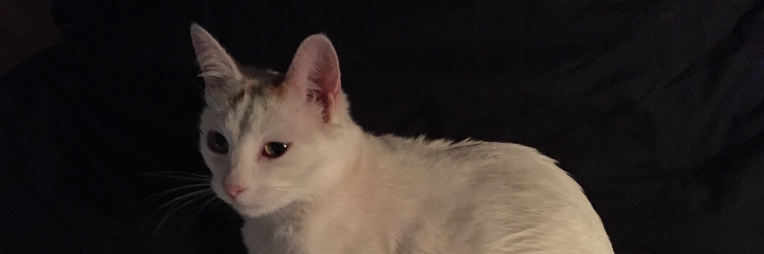 selenepinillos's profile banner image