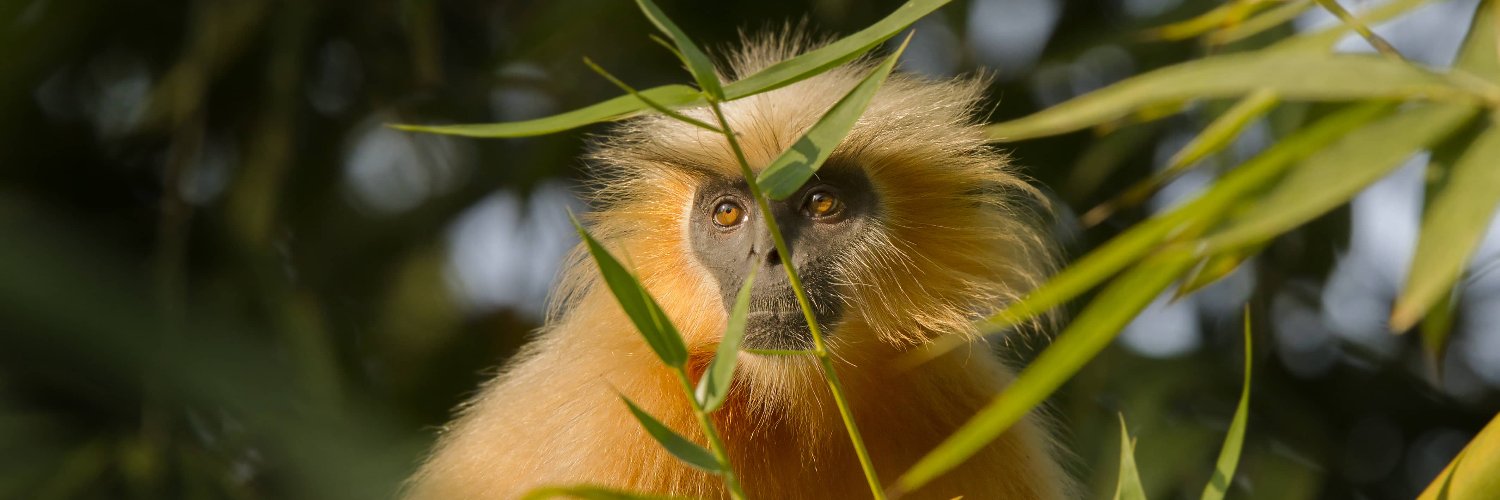 People's Trust for Endangered Species banner