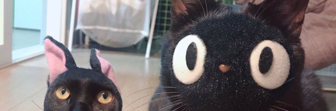 Geli95's profile banner image