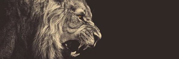 Treharper3's profile banner image