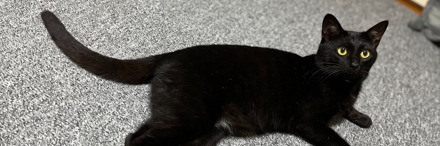 Feline_Groovy's profile banner image