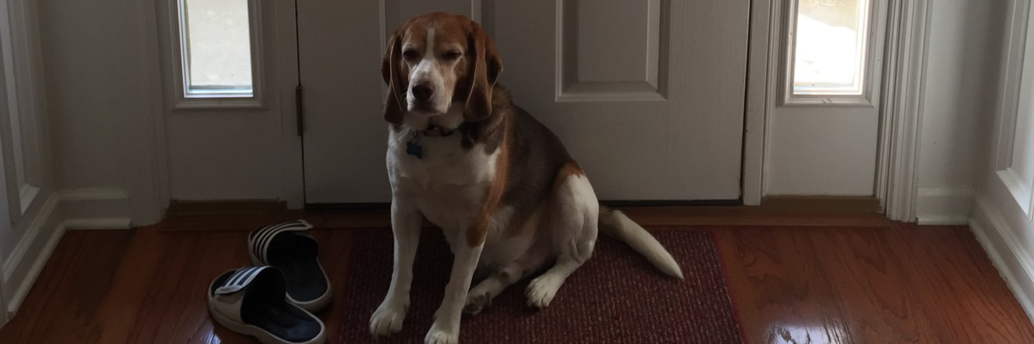akey_jacob's profile banner image