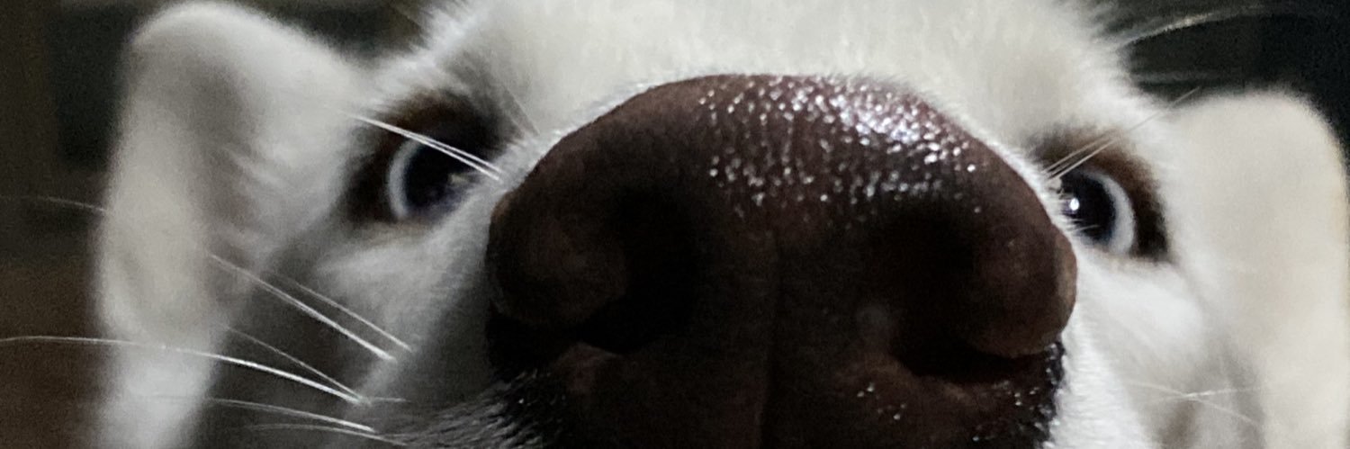 knteros_'s profile banner image