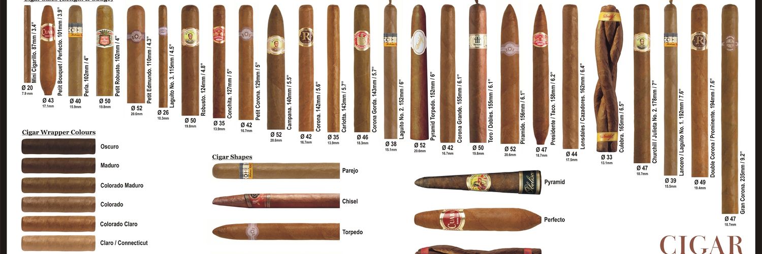 TrueStogies's profile banner image