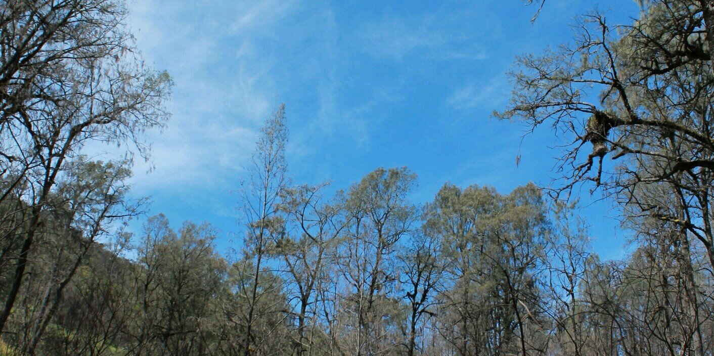 SumitroAgus's profile banner image
