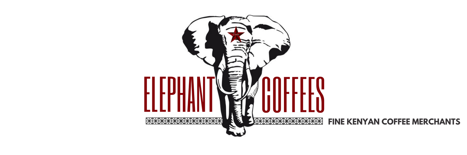 elephantcoffees's profile banner image