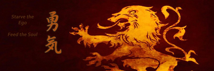 quatiloo's profile banner image