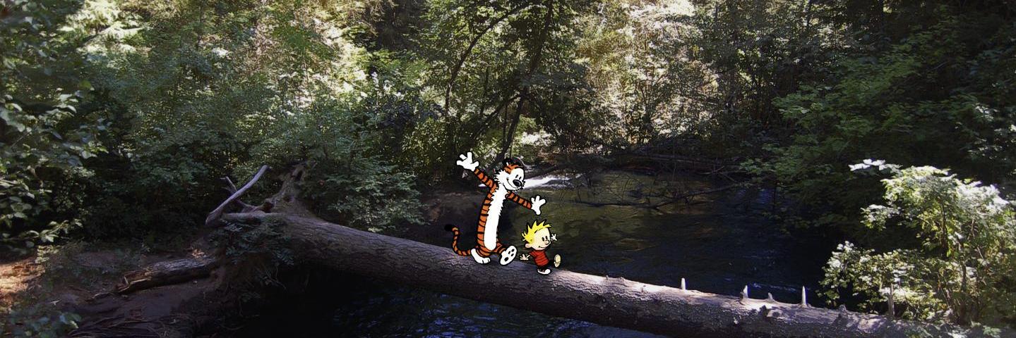 Carlos Bederian banner