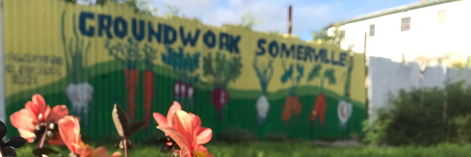 GWSomerville's profile banner image
