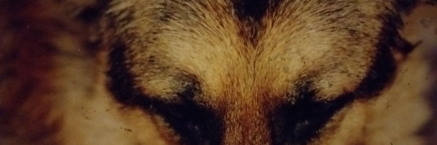 eflowjohn's profile banner image