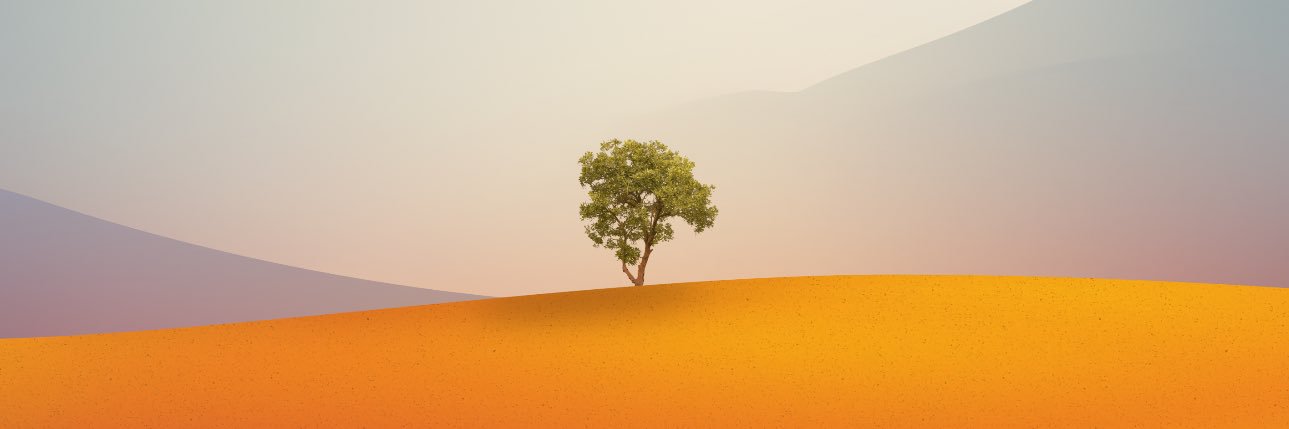 محمد سالم banner