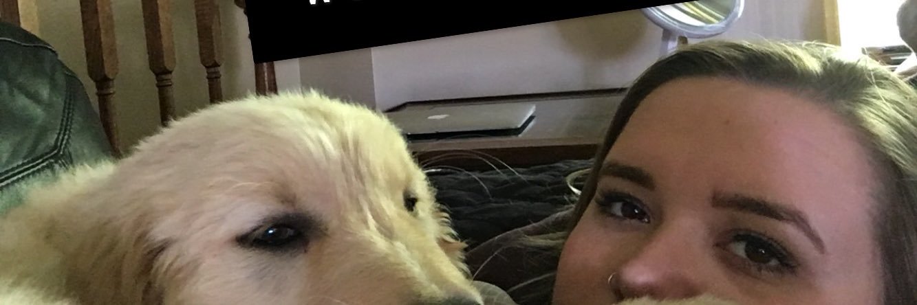 AnnaWulf14's profile banner image
