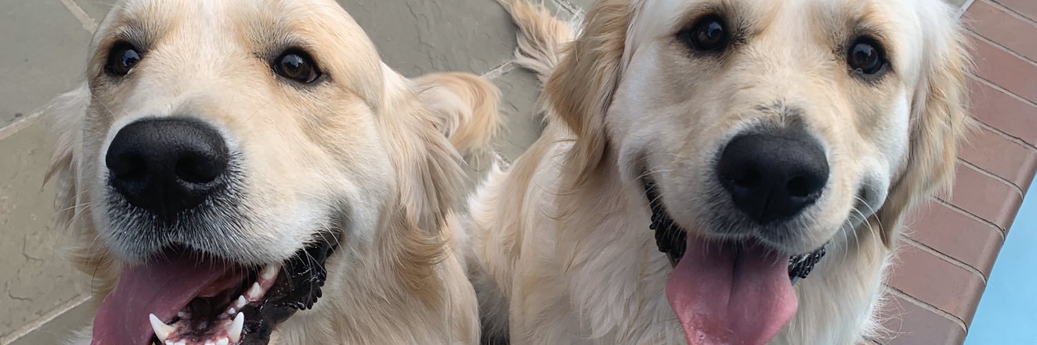 zoegage_'s profile banner image