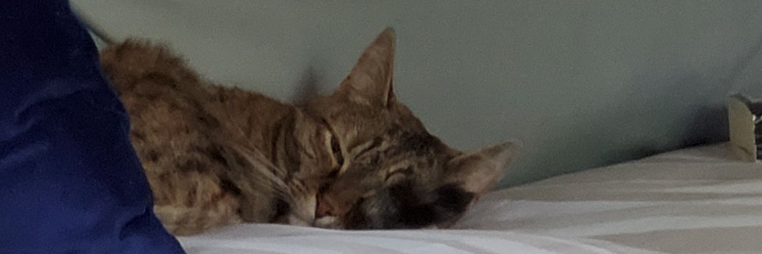 rcbutter1's profile banner image
