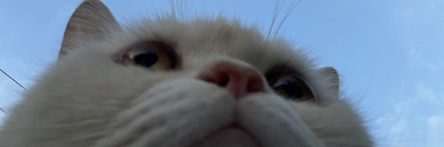 syeeerinn's profile banner image
