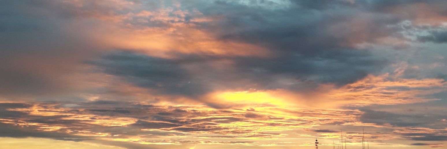 CarolMeneguette's profile banner image