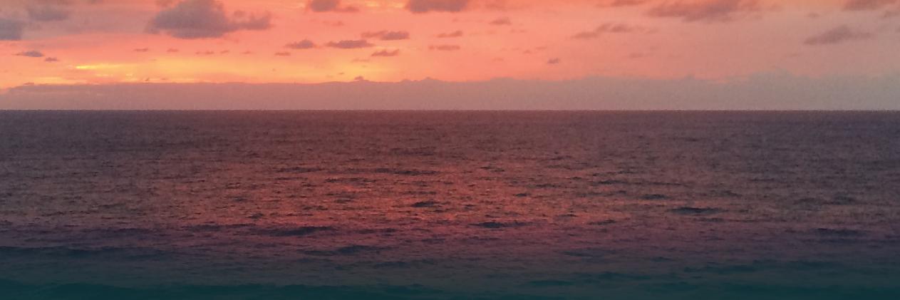 Jesuit Institute SA banner