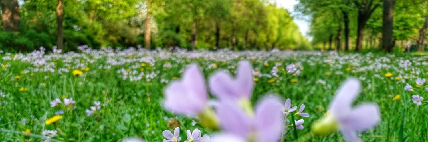 Alexander Wendland banner