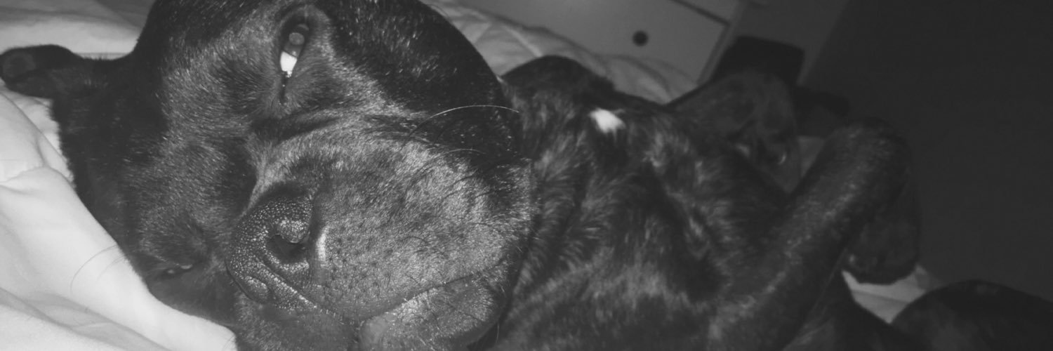 mackbanning's profile banner image
