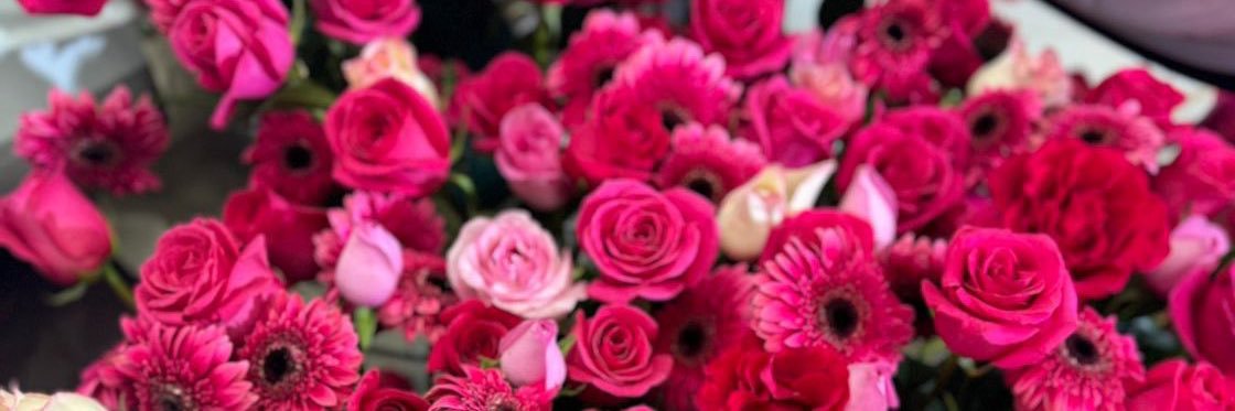 诺诺学弟（在上海） banner