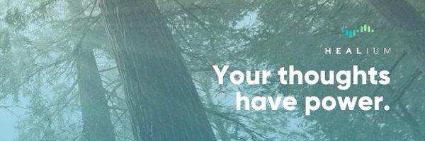 SarahMidMO Profile Banner