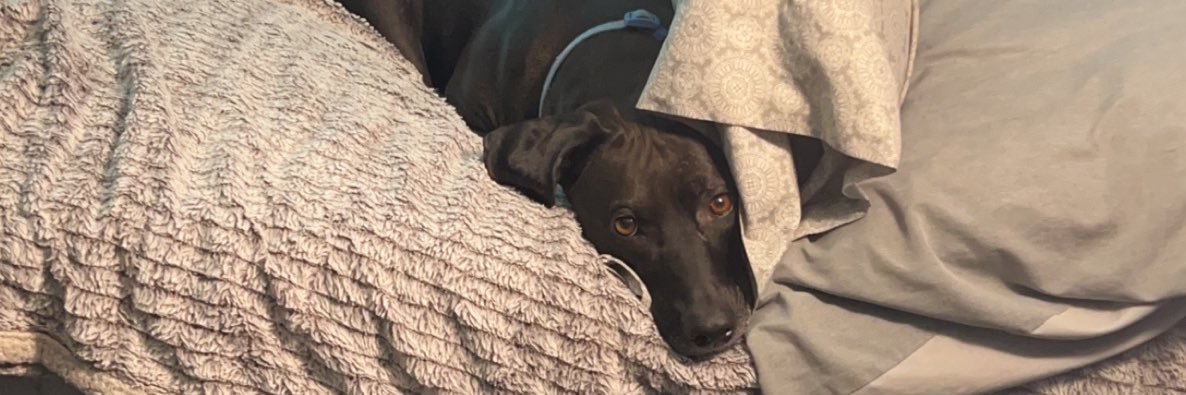 Andres Garcia banner