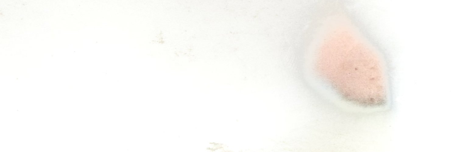 Faysal banner