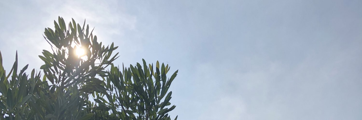 Pingkipong's profile banner image
