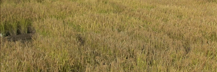 AktCaster657's profile banner image