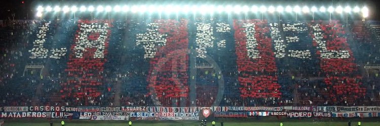 Ale⭐️⭐️⭐️ banner