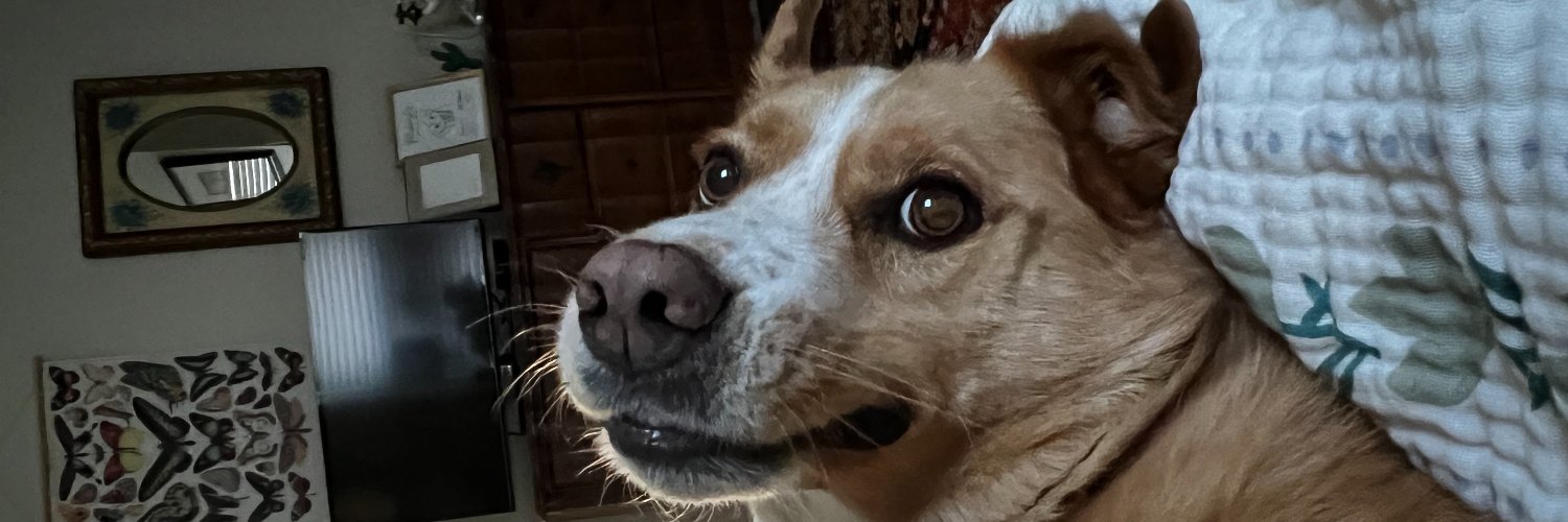 plz_CLARify's profile banner image