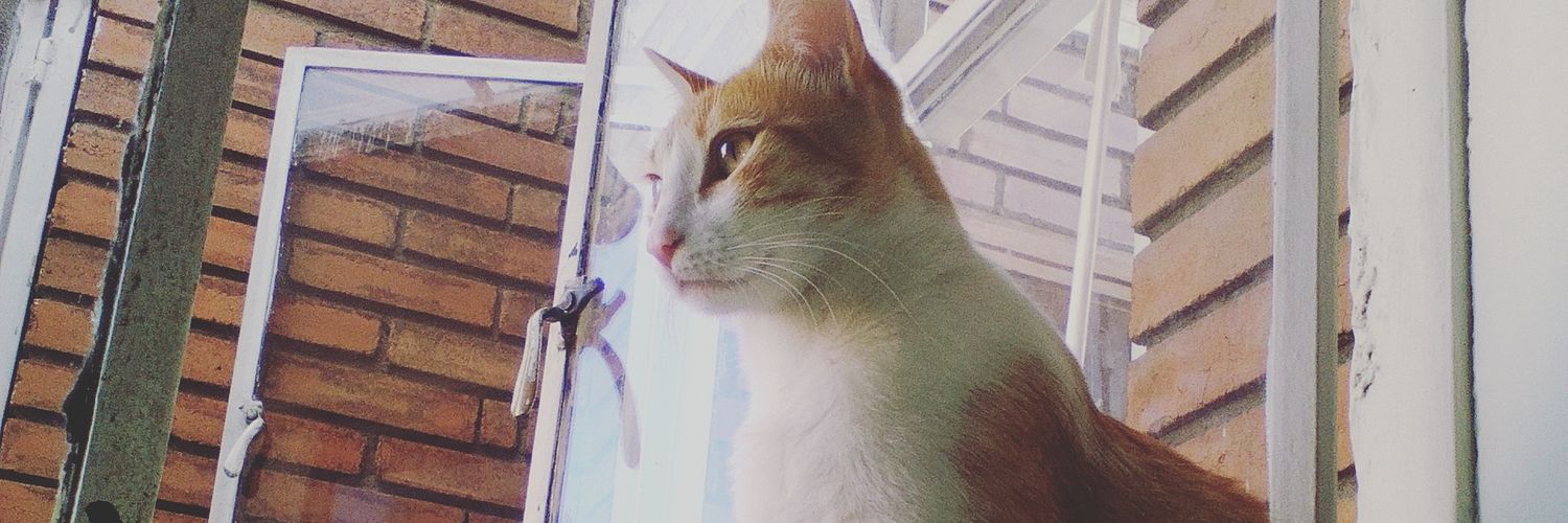 yhampis's profile banner image