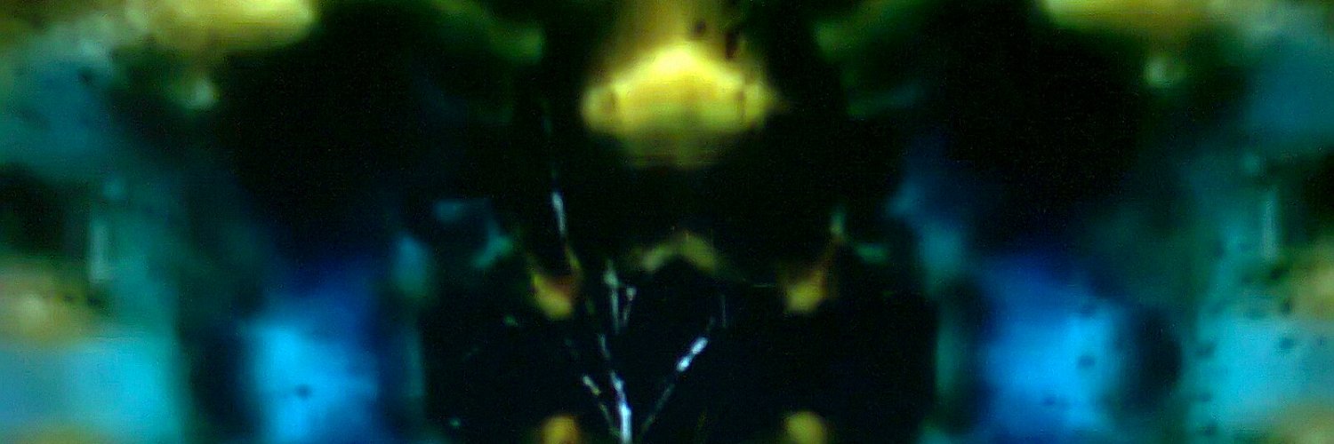 PinkFreudTWalsh's profile banner image