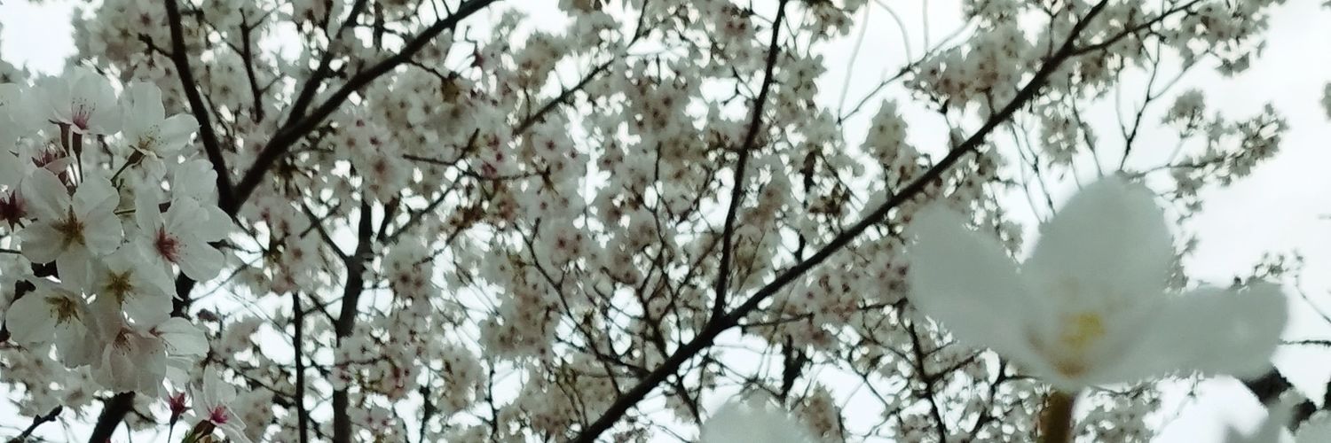 darawa88's profile banner image