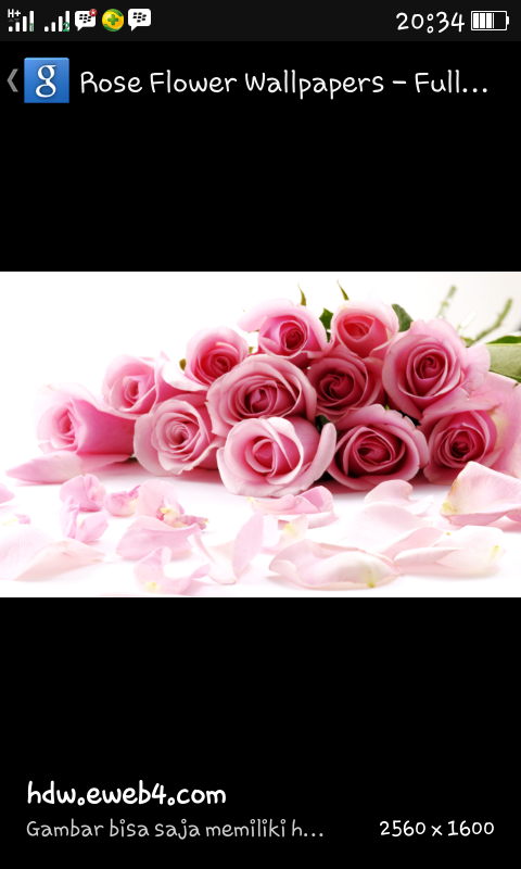 AnnisDwi's profile banner image